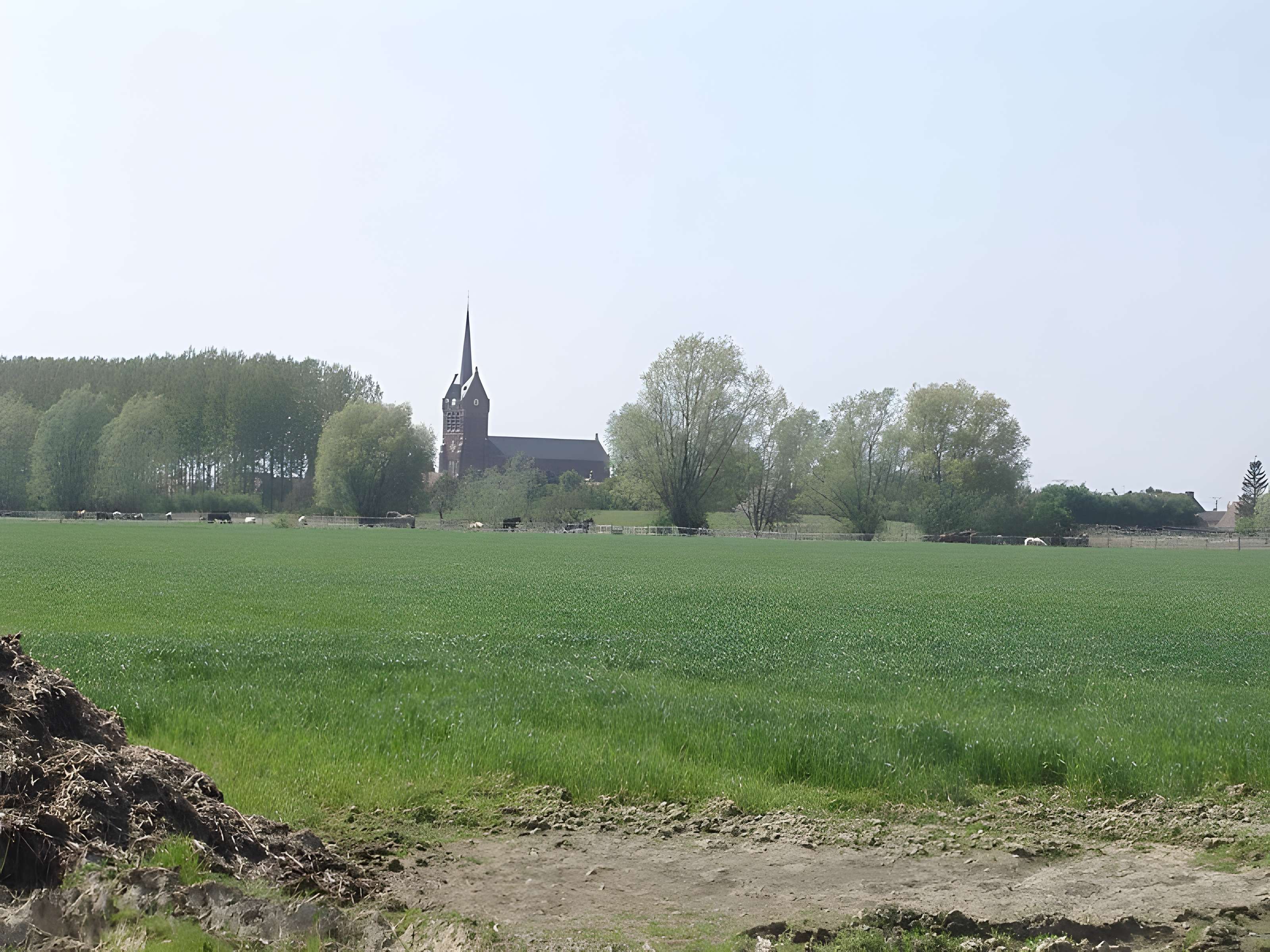 Motte féodale du Doulieu