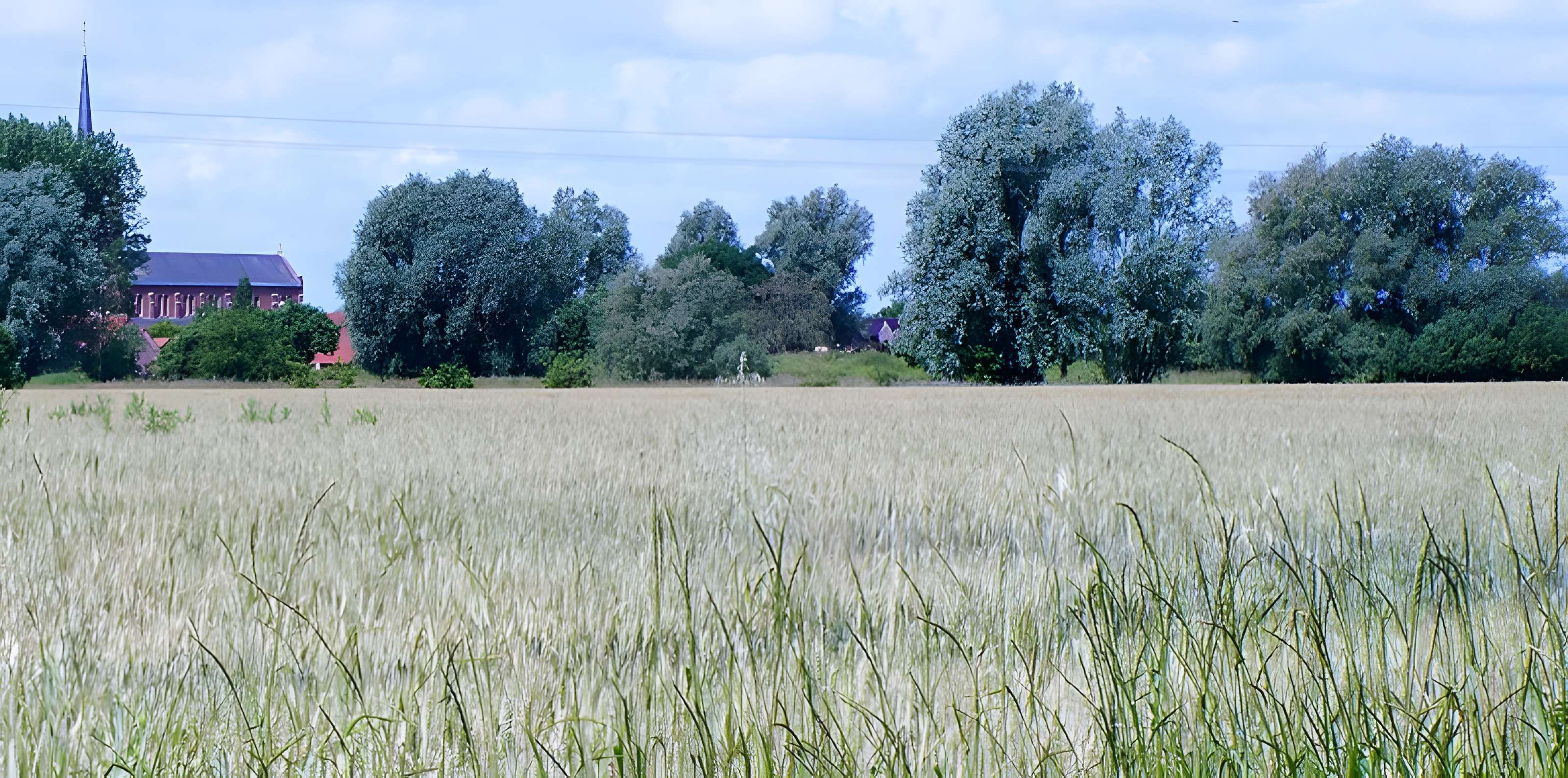 Motte féodale du Doulieu