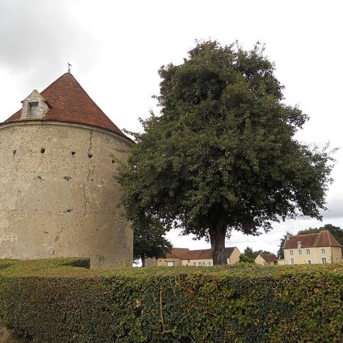 Photo de Motte féodale du Plessis-Poix à Sainte-Céronne-lès-Mortagne
