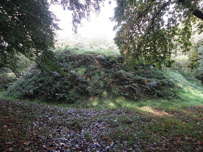 Photo de Motte féodale et camp de Lesquellen à Plabennec