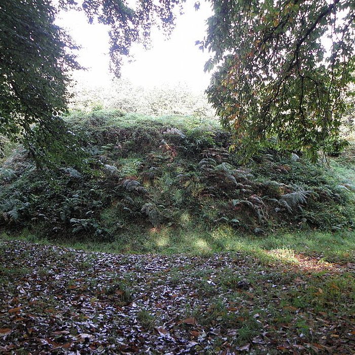 Photo de Motte féodale et camp de Lesquellen à Plabennec