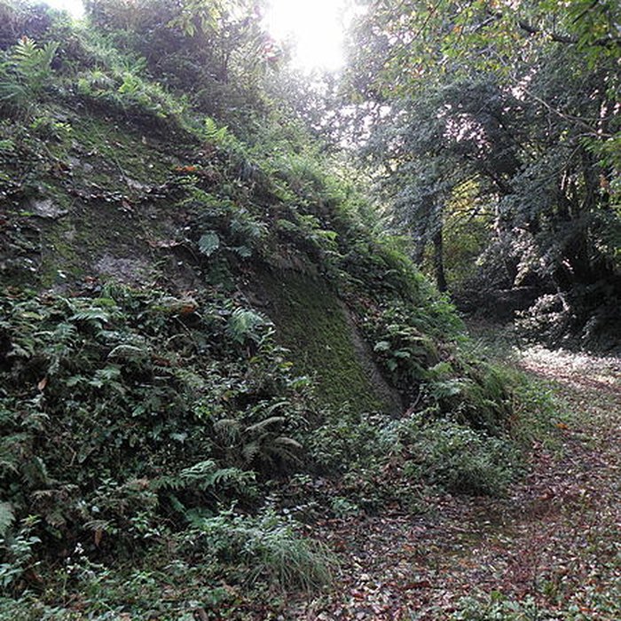 Photo de Motte féodale et camp de Lesquellen à Plabennec