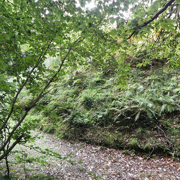 Photo de Motte féodale et camp de Lesquellen à Plabennec
