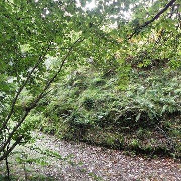 Motte féodale et camp de Lesquellen à Plabennec