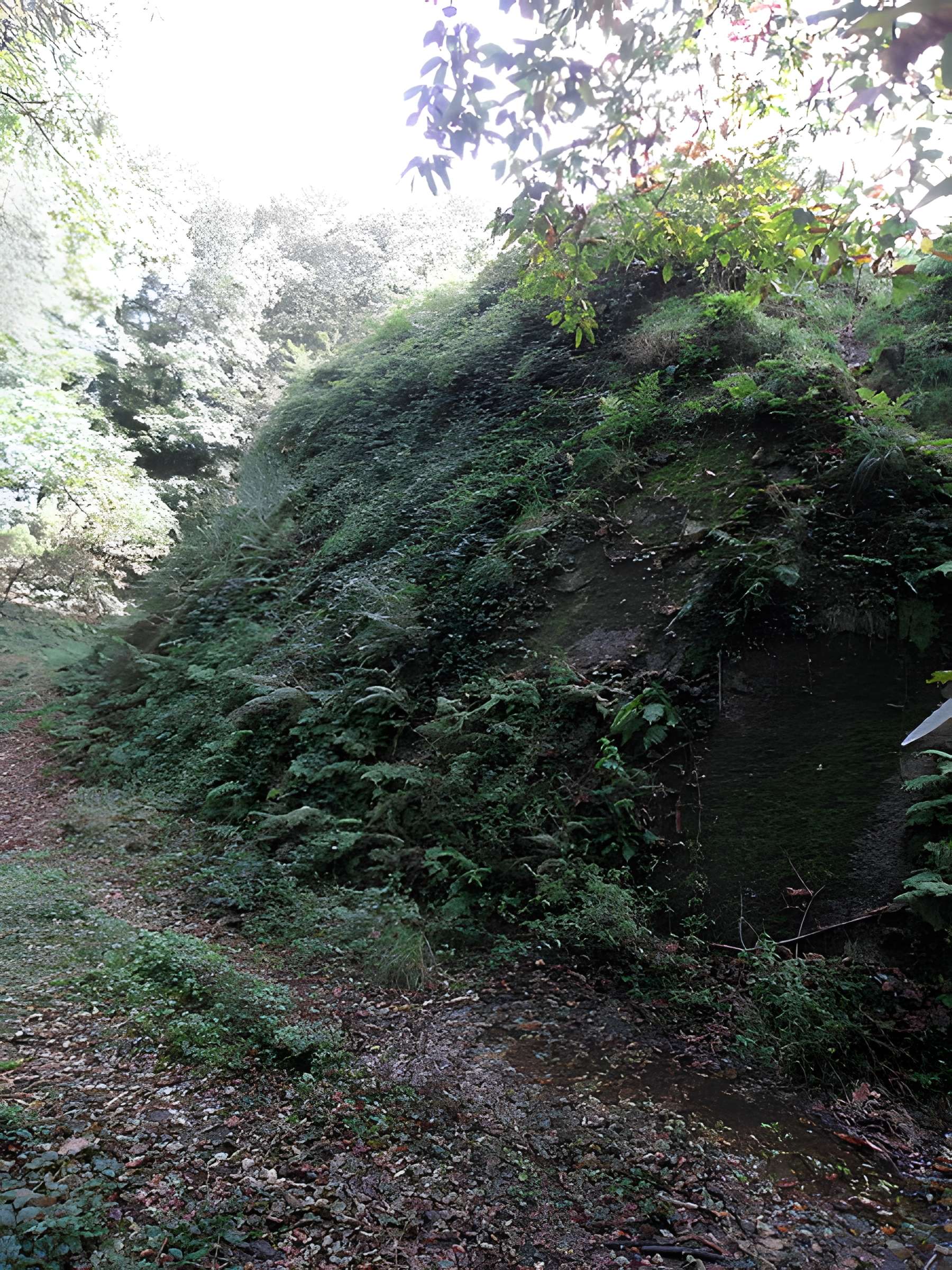 Motte féodale et camp de Lesquellen à Plabennec