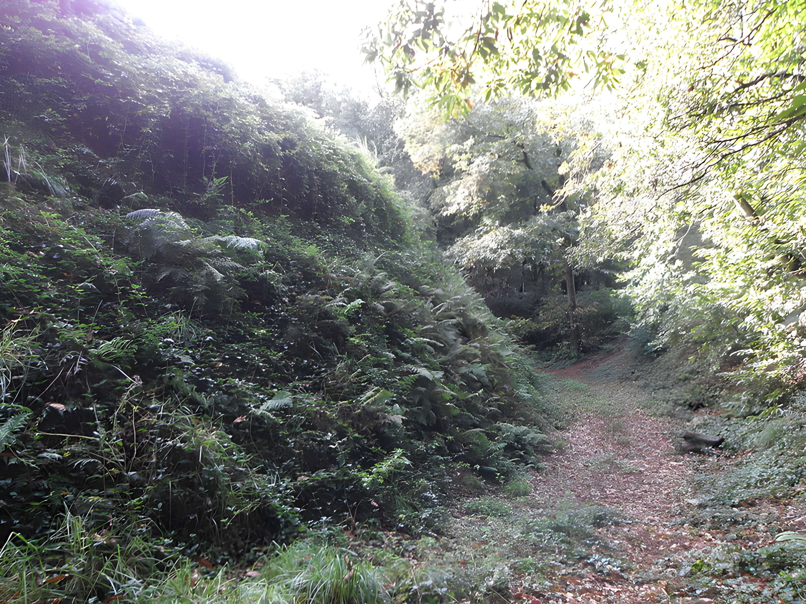Motte féodale et camp de Lesquellen à Plabennec
