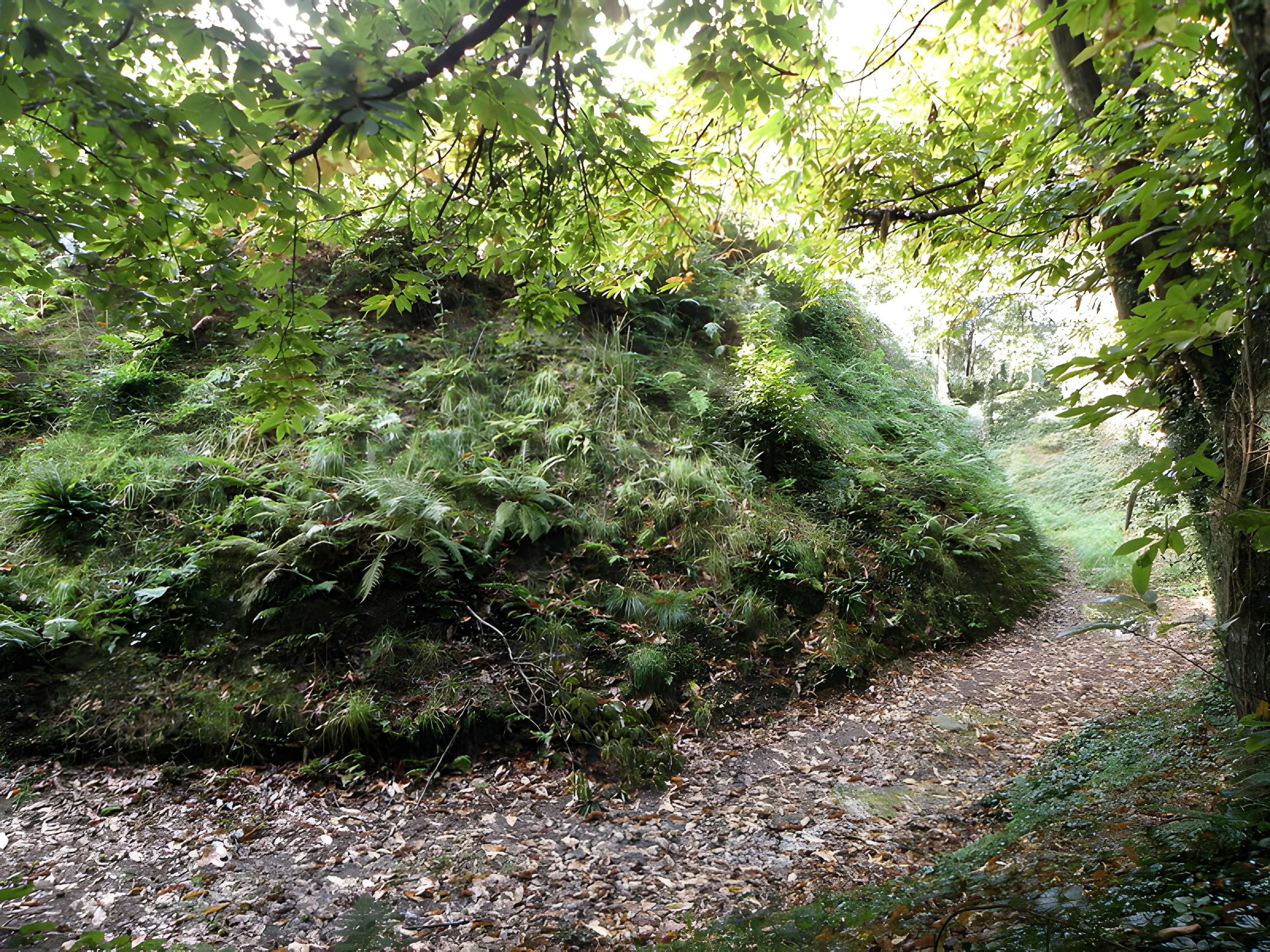 Motte féodale et camp de Lesquellen à Plabennec