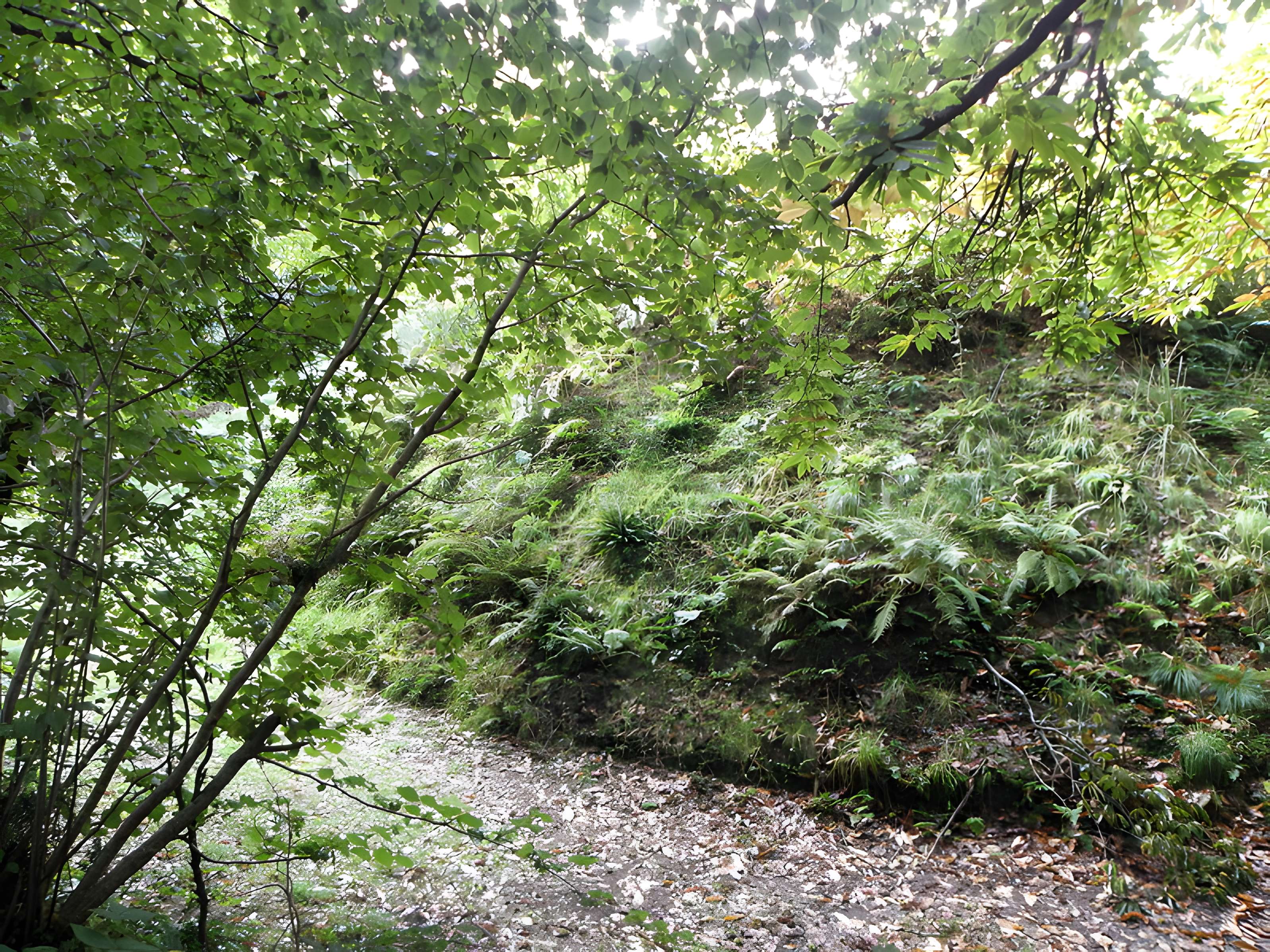Motte féodale et camp de Lesquellen à Plabennec