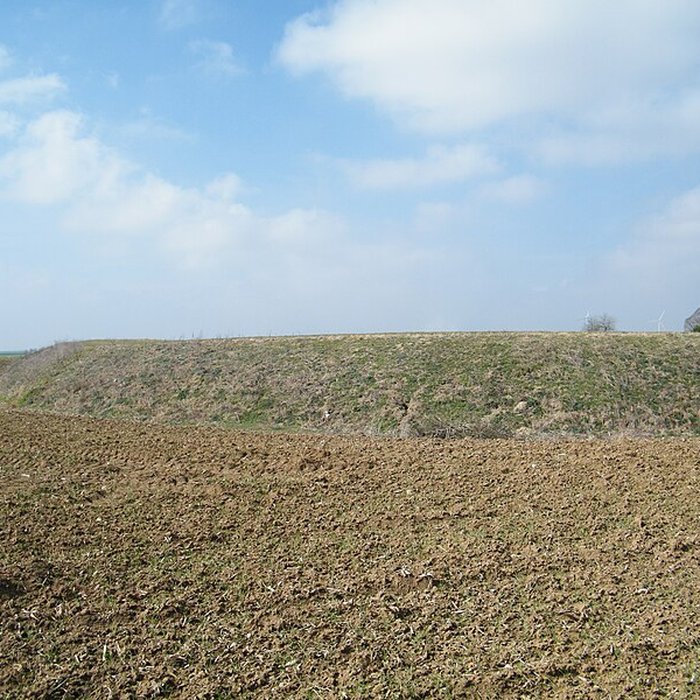 Photo de Motte médiévale de Nids