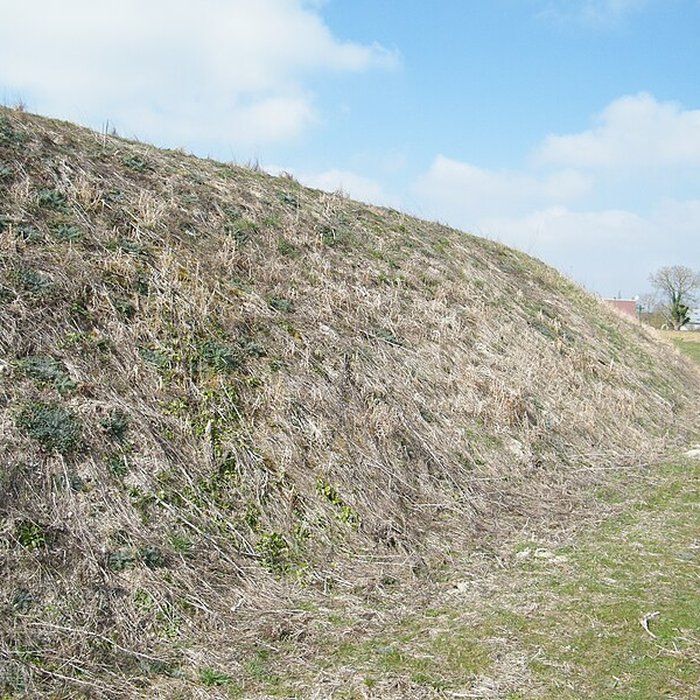 Photo de Motte médiévale de Nids