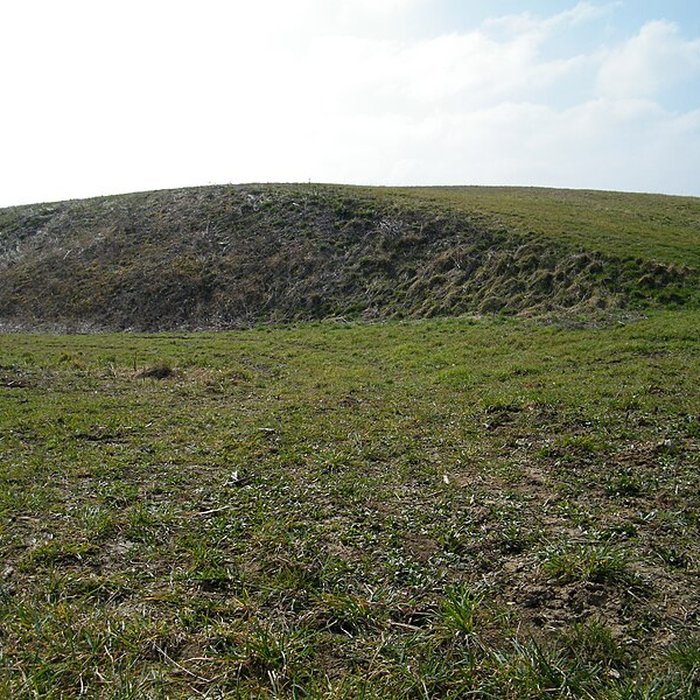 Photo de Motte médiévale de Nids