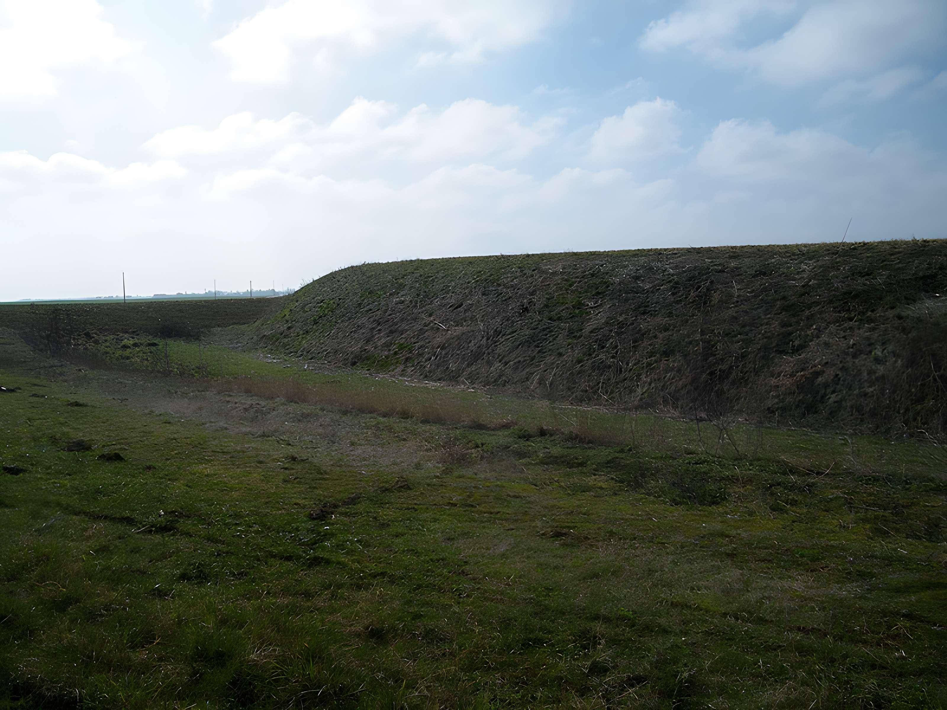 Motte médiévale de Nids