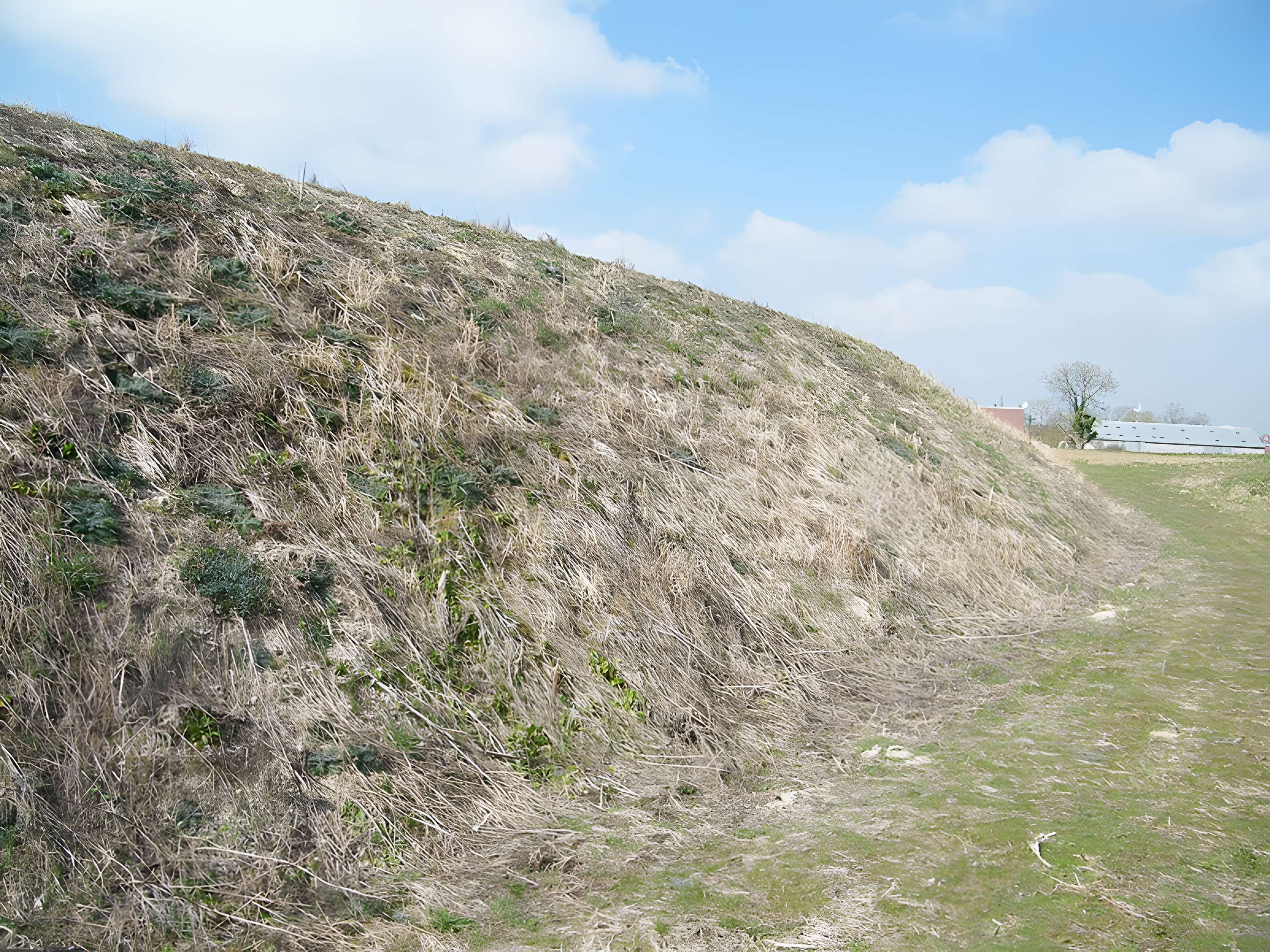 Motte médiévale de Nids