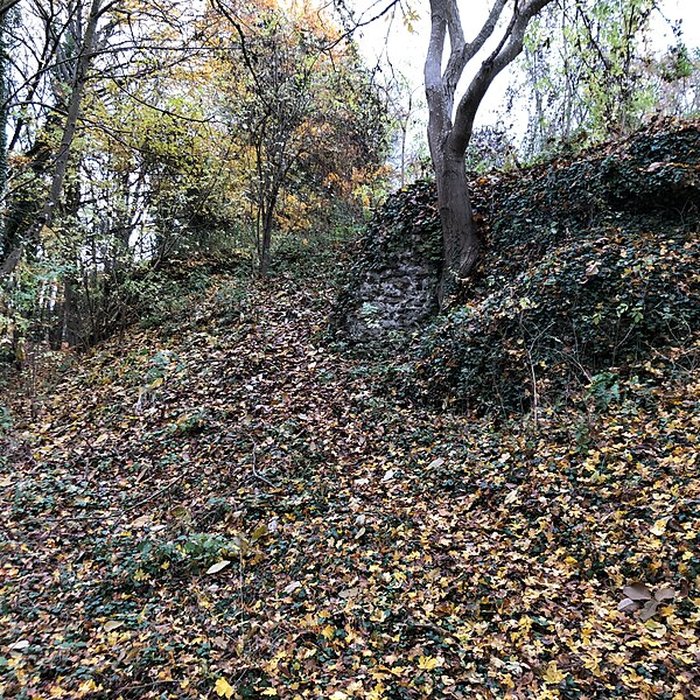 Photo de Motte médiévale du Plessis-Saint-Rémy
