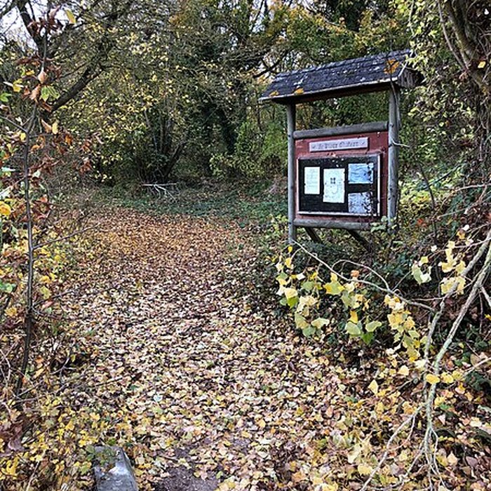 Photo de Motte médiévale du Plessis-Saint-Rémy