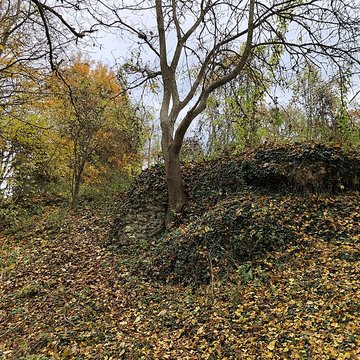 Motte médiévale du Plessis-Saint-Rémy