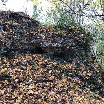 Motte médiévale du Plessis-Saint-Rémy