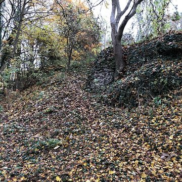 Motte médiévale du Plessis-Saint-Rémy