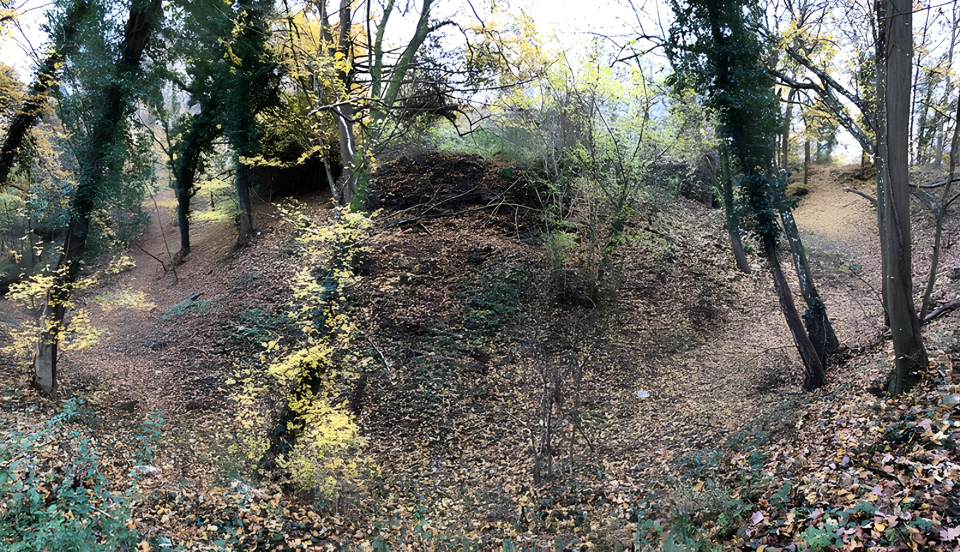 Motte médiévale du Plessis-Saint-Rémy