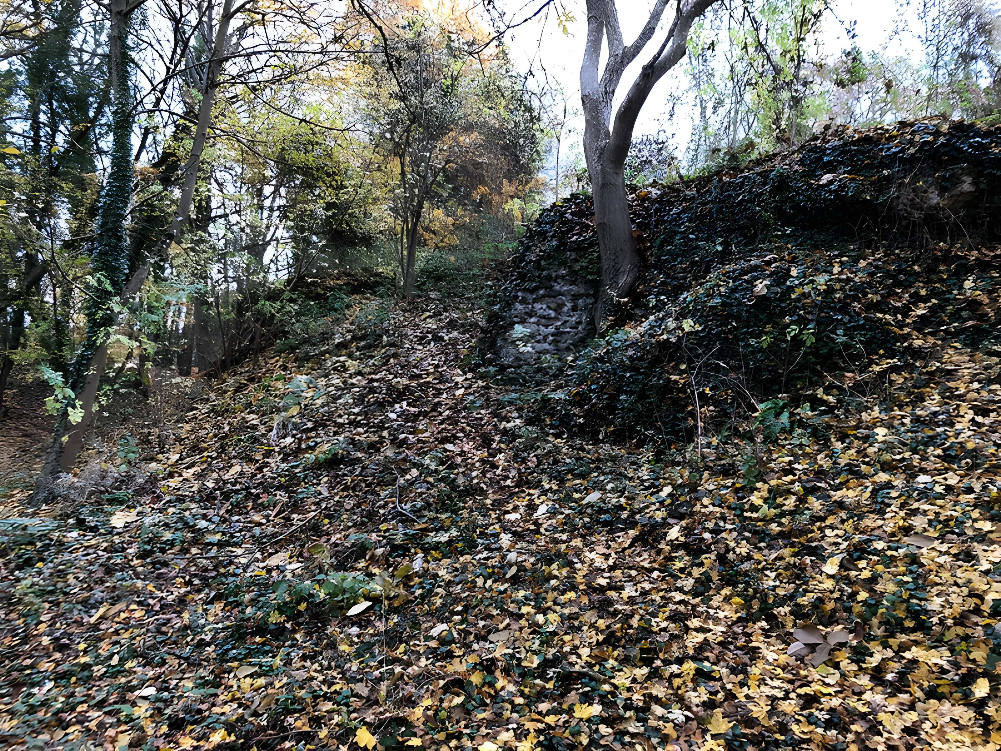 Motte médiévale du Plessis-Saint-Rémy