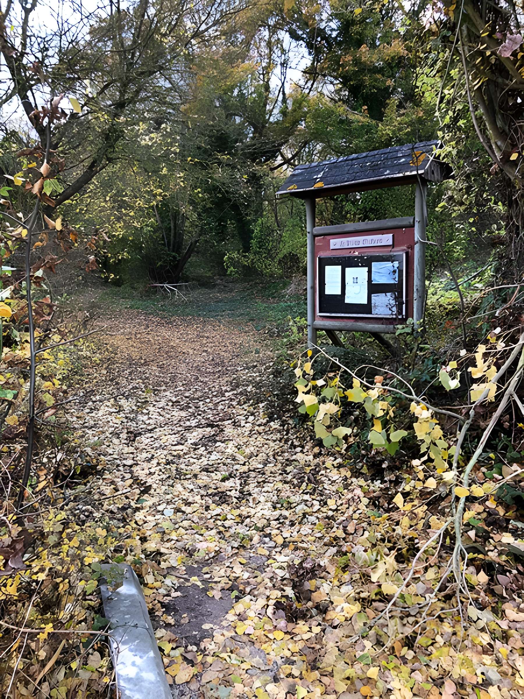 Motte médiévale du Plessis-Saint-Rémy