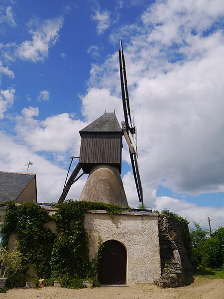 Photo de Moulin à vent de la Bigottière à Mozé-sur-Louet
