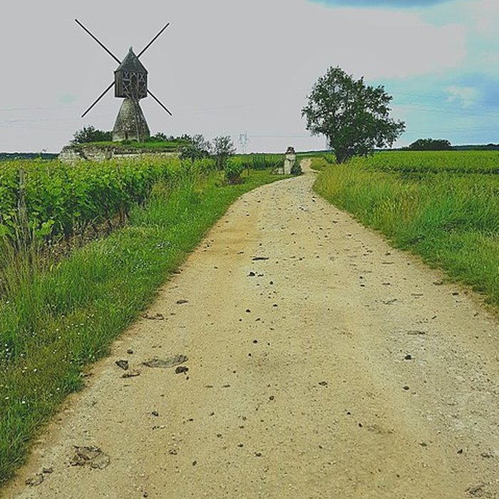 Photo de Moulin à vent de la Tranchée à Montsoreau