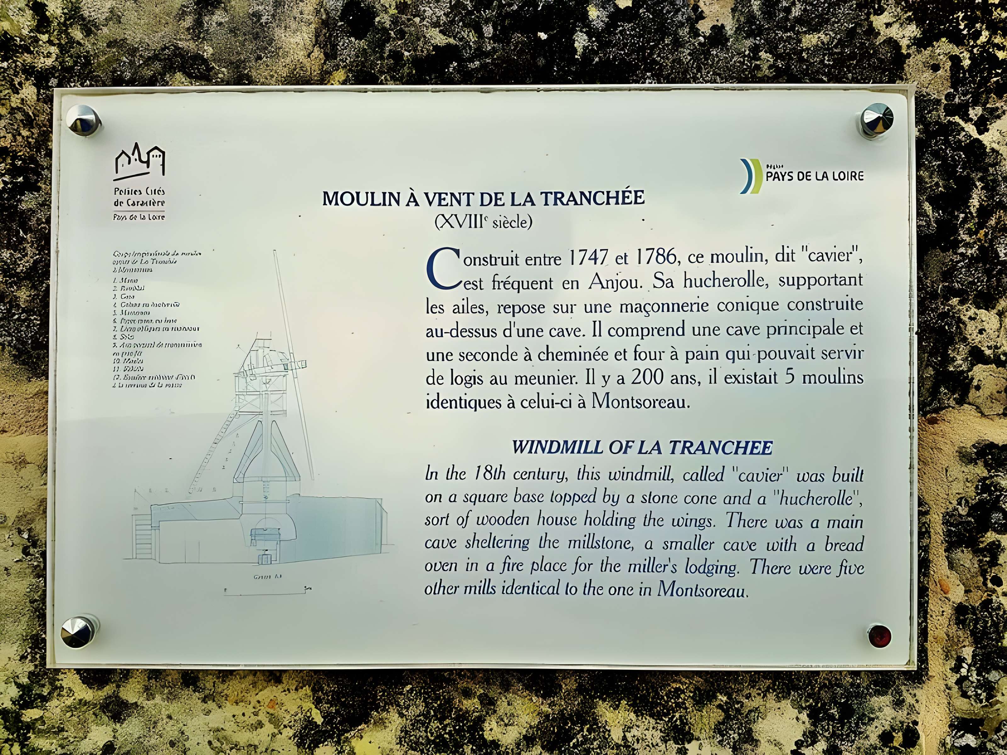 Moulin à vent de la Tranchée à Montsoreau