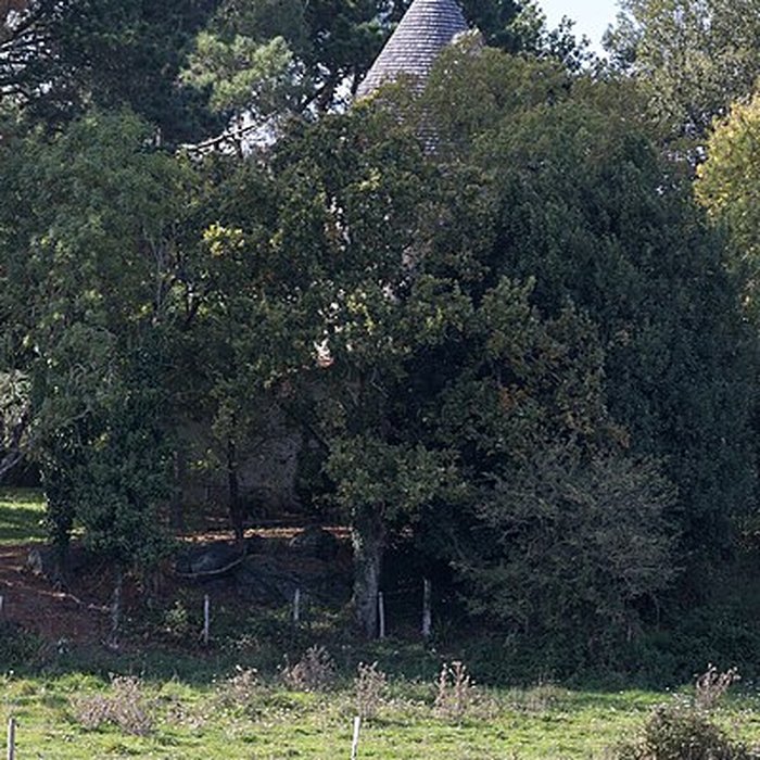 Photo de Moulin de la Ramée à Saint-Viaud