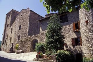 Photo de Château de Désaignes