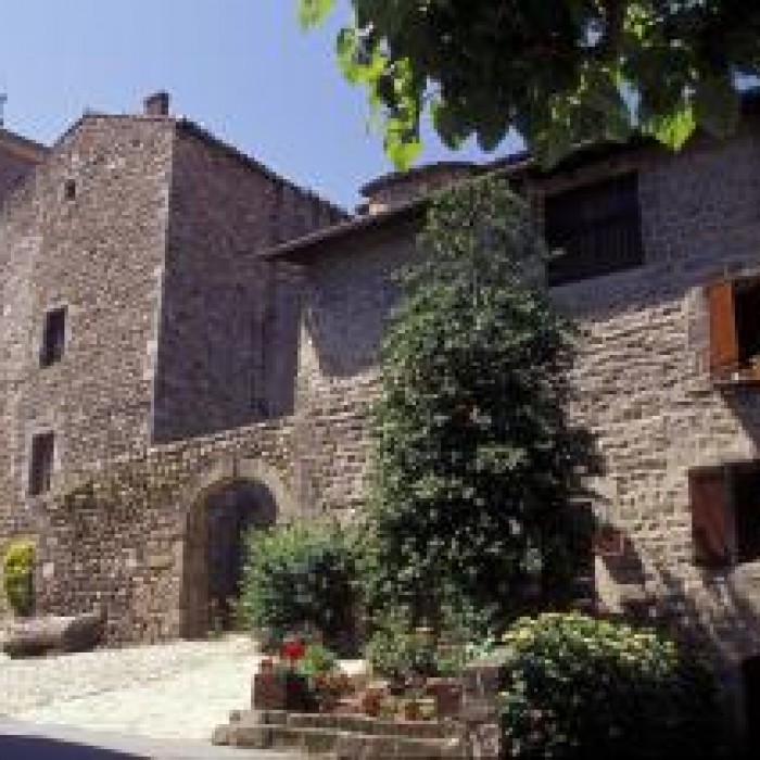 Photo de Château de Désaignes