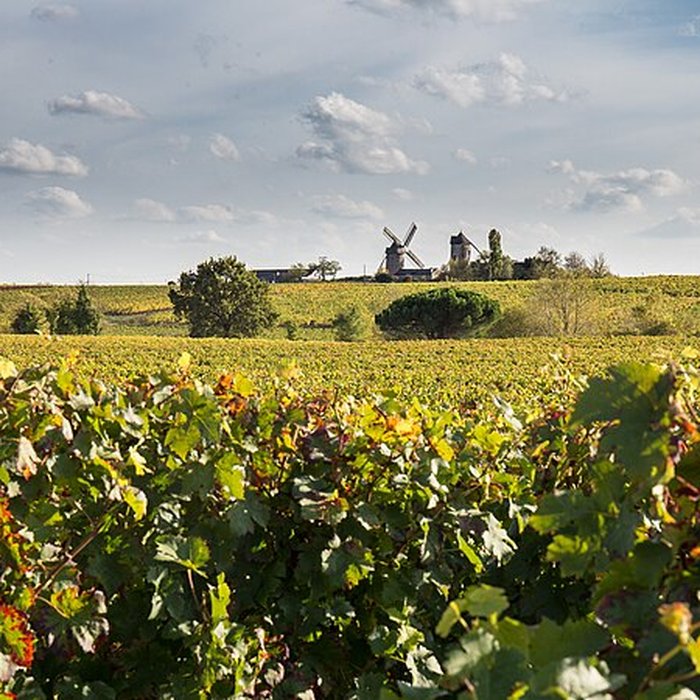 Photo de Moulins à vent dArdenay à Chaudefonds-sur-Layon