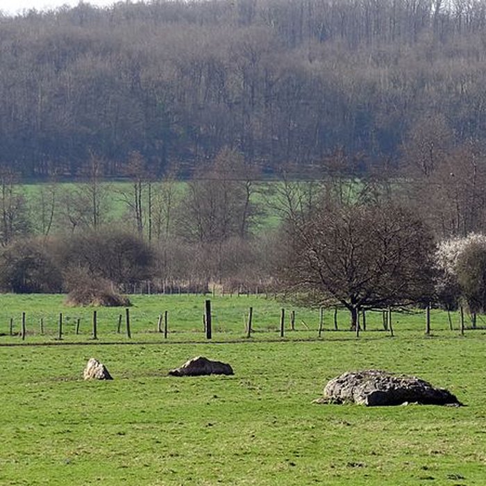 Photo de Nécropole dolménique des Prés à Acon