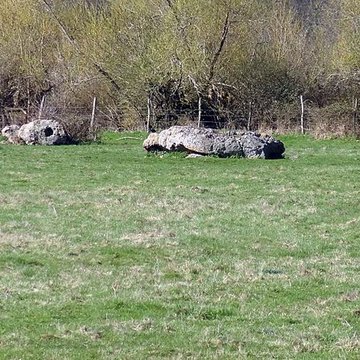 Nécropole dolménique des Prés à Acon