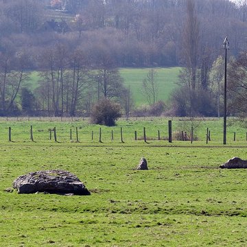 Nécropole dolménique des Prés à Acon