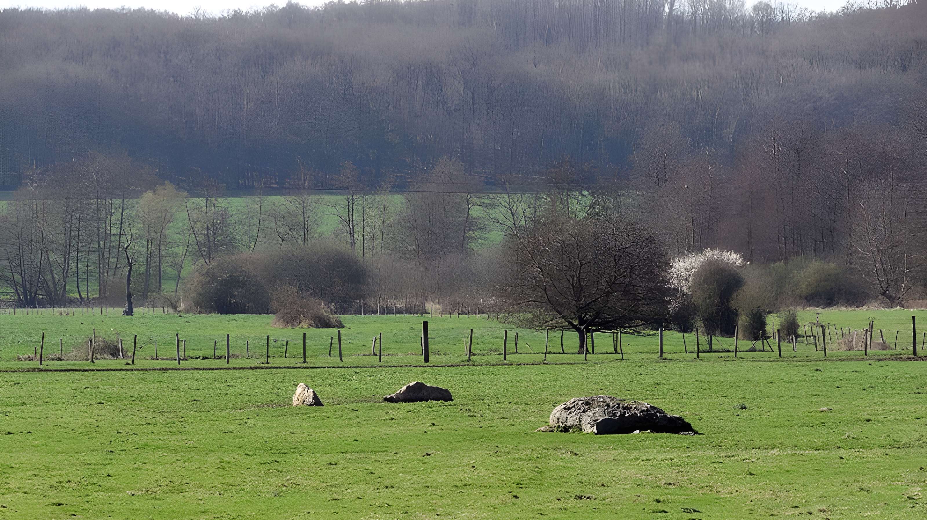 Nécropole dolménique des Prés à Acon