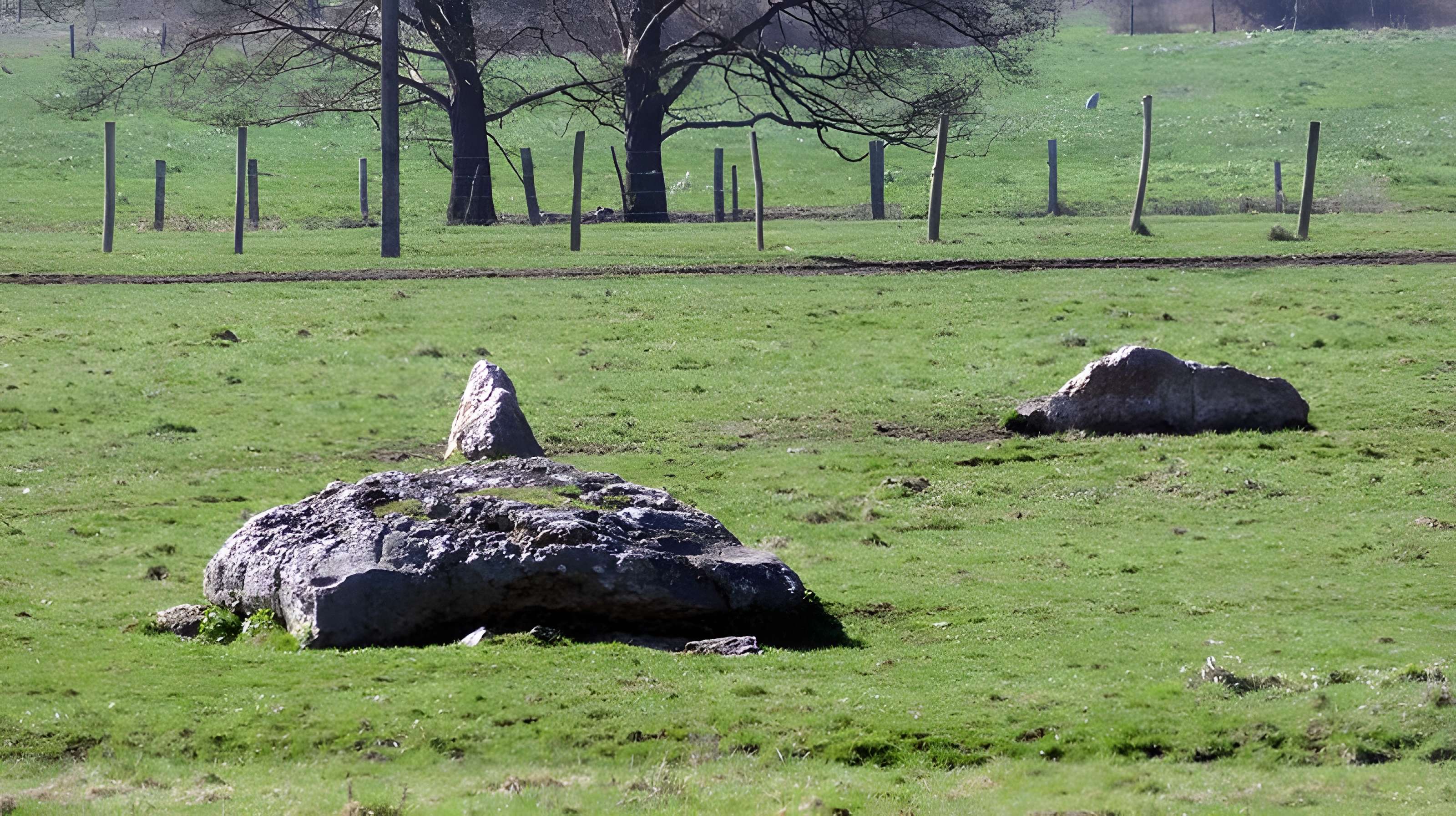 Nécropole dolménique des Prés à Acon