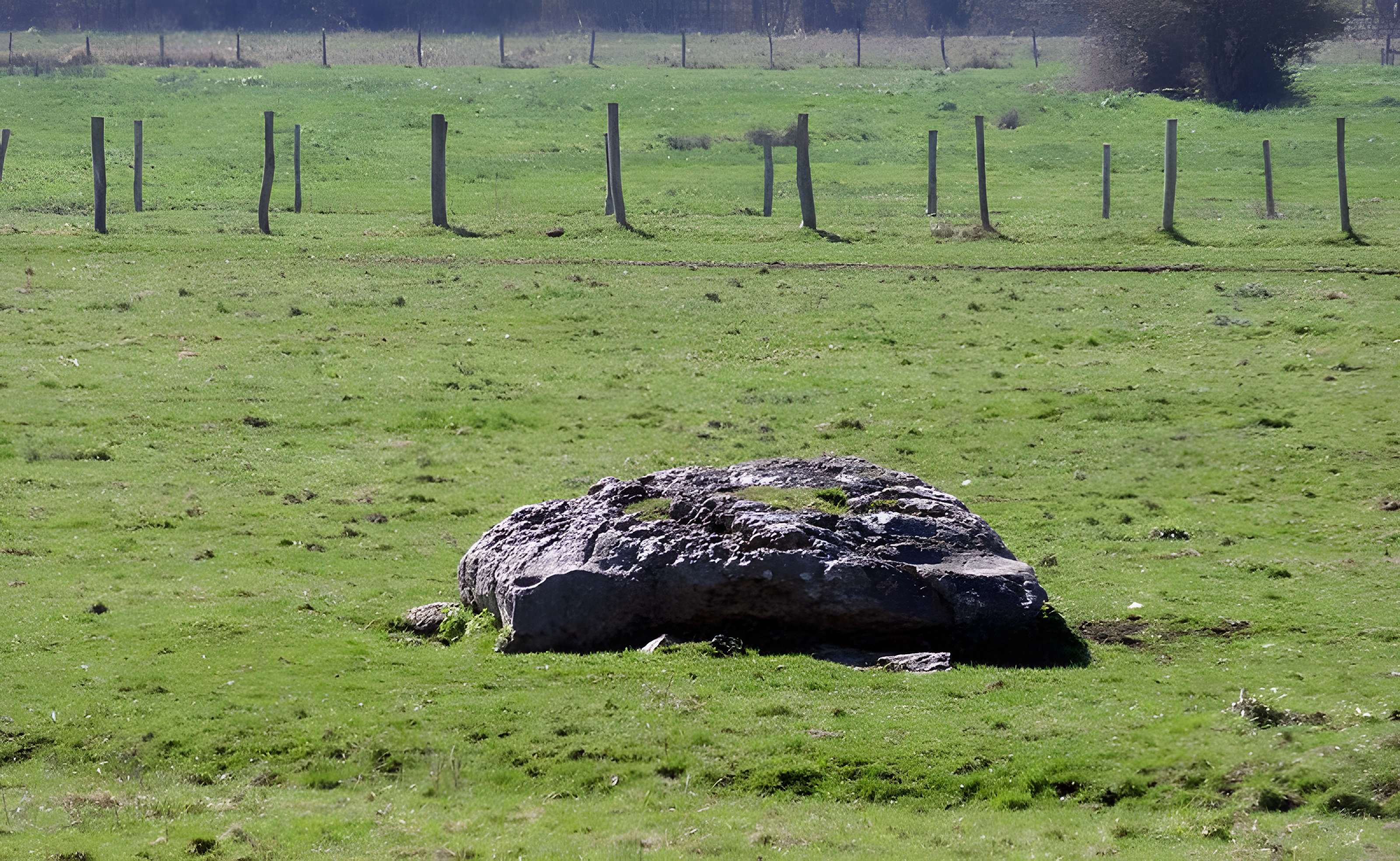 Nécropole dolménique des Prés à Acon