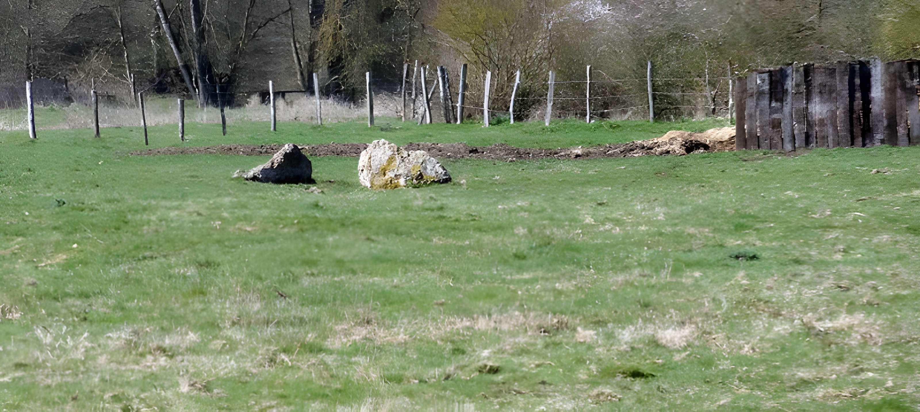 Nécropole dolménique des Prés à Acon