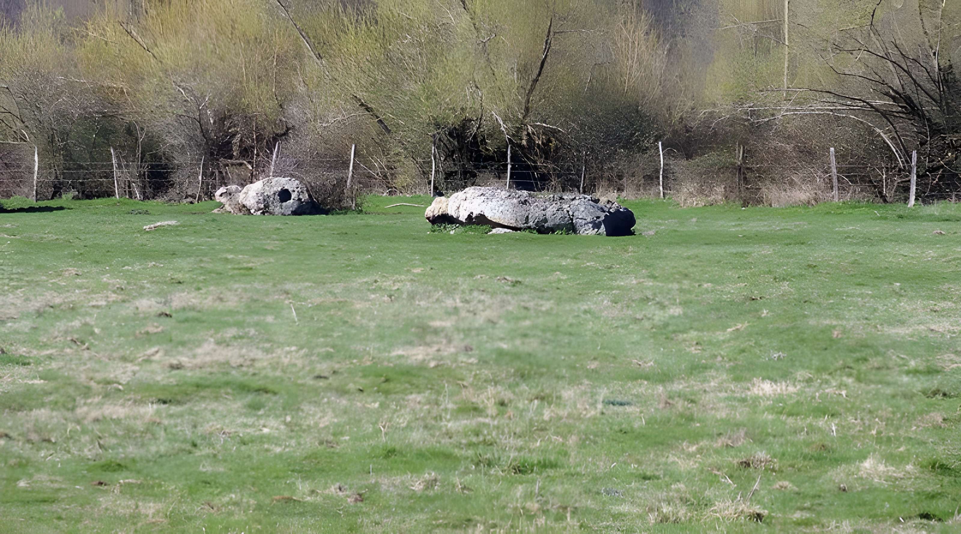 Nécropole dolménique des Prés à Acon
