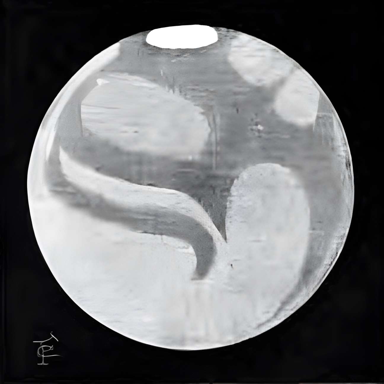 Observatoire de Juvisy-sur-Orge