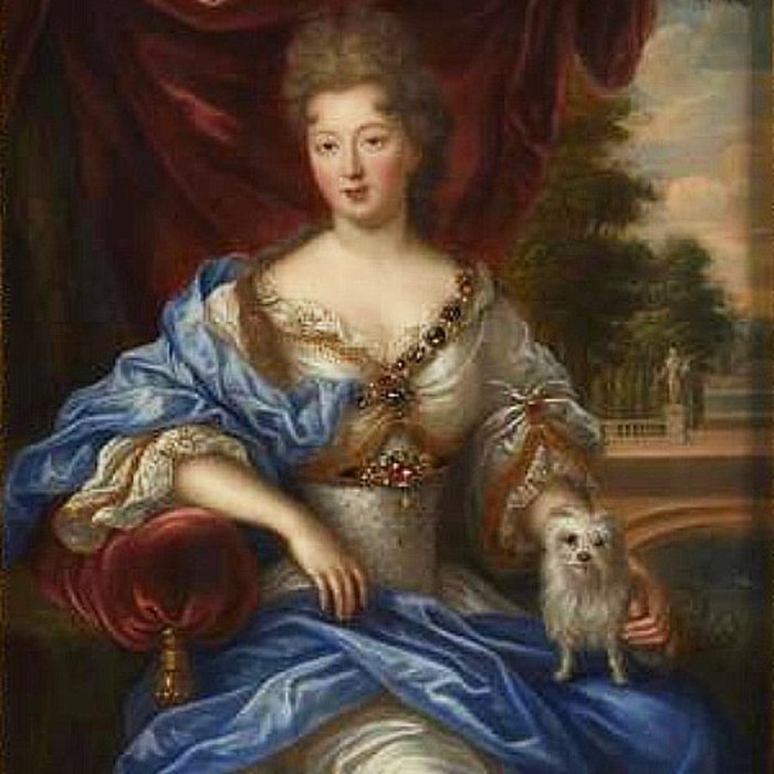 Photo de Château de Digoine