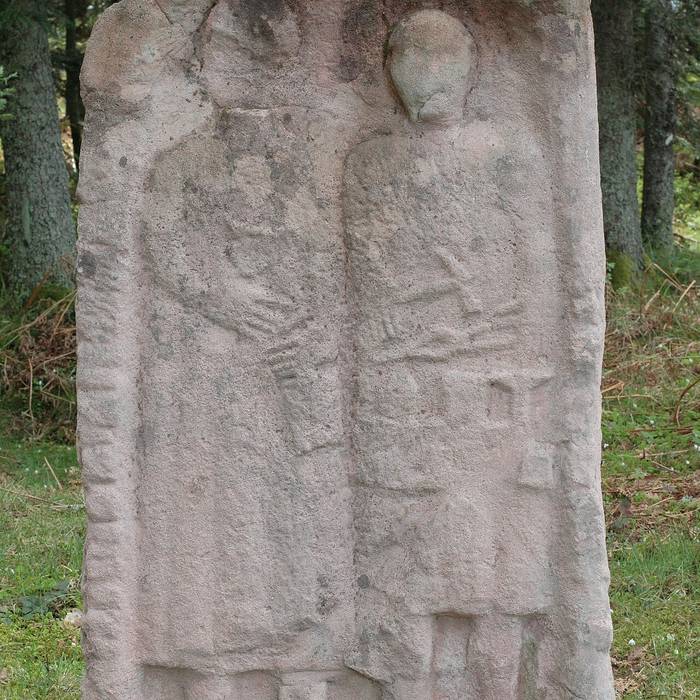Photo de Oppidum celtique de la Pierre dAppel à Étival-Clairefontaine