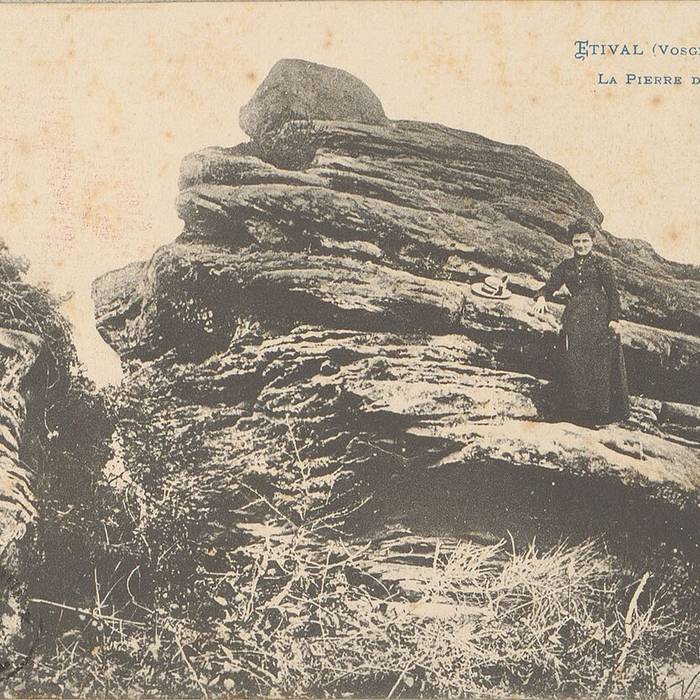 Photo de Oppidum celtique de la Pierre dAppel à Étival-Clairefontaine