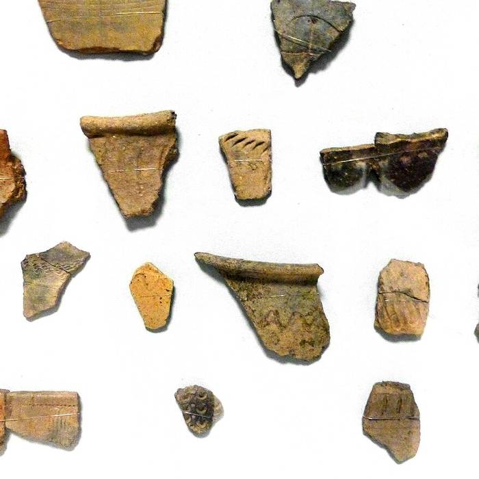 Photo de Oppidum celtique de la Pierre dAppel à Étival-Clairefontaine