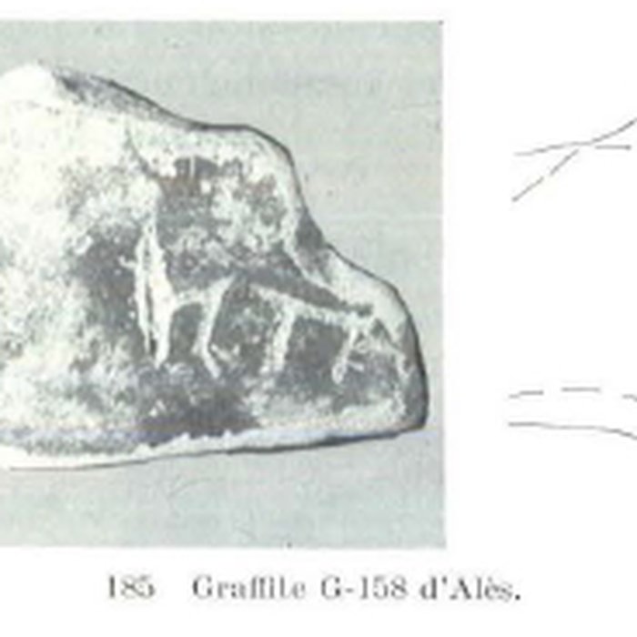 Photo de Oppidum dAlès