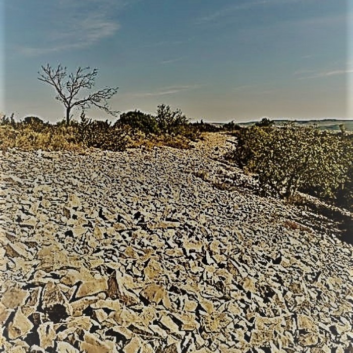 Photo de Oppidum dAlès