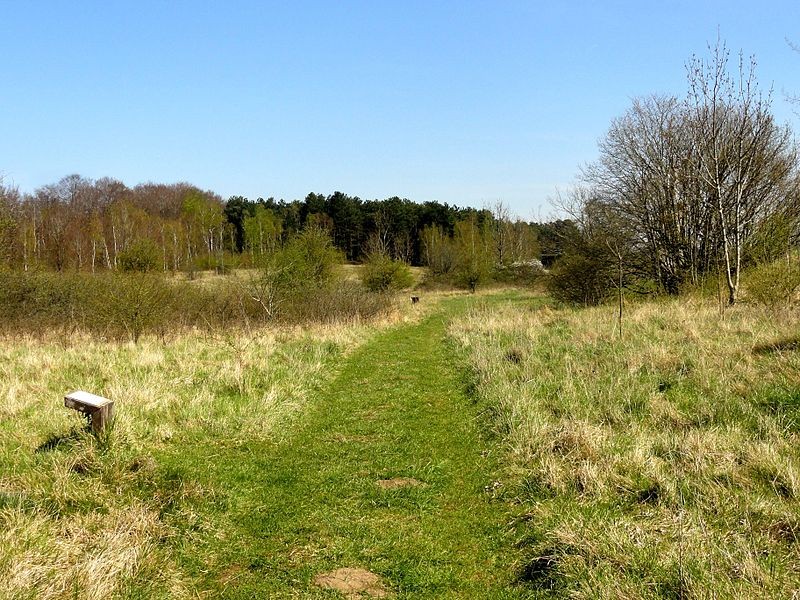 Photo de Oppidum de Bailleul-sur-Thérain