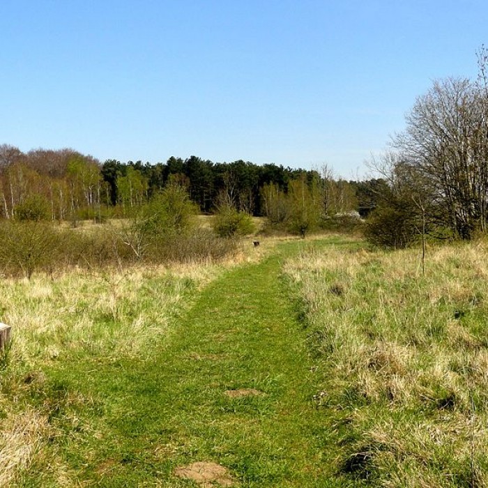 Photo de Oppidum gaulois et camp de César