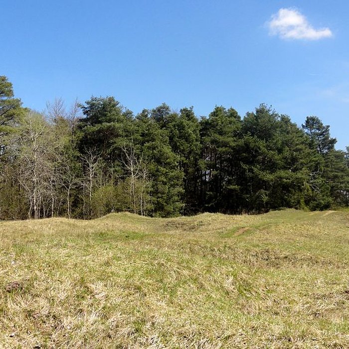 Photo de Oppidum gaulois et camp de César